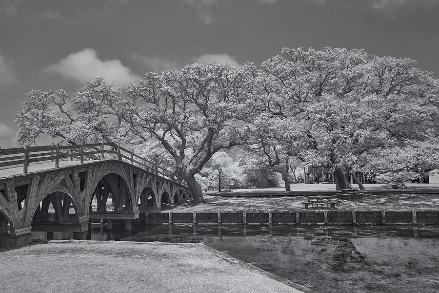 Historic Corolla Park North Carolina Photograph by Jim Cook
