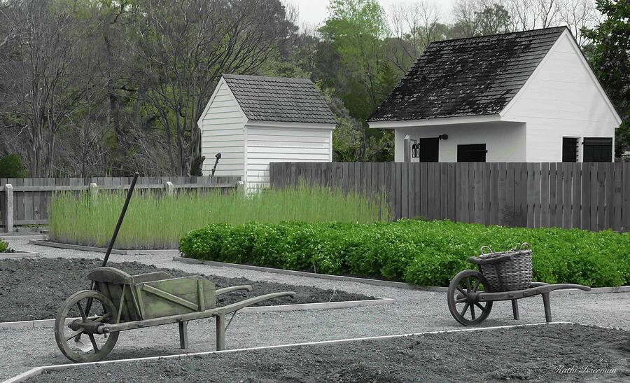 Historic Gardens of Williamsburg Photograph by Kathi Isserman Historic Gardens of Williamsburg Photograph by Kathi Isserman