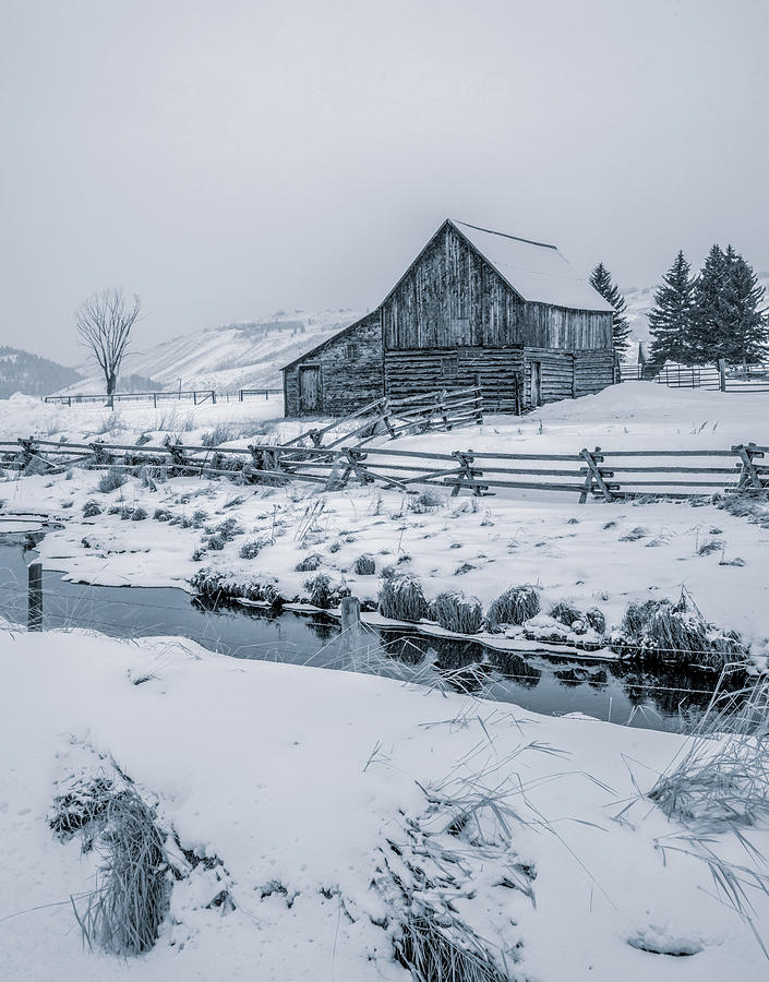 Historic Hansen Barn of Jackson, Wyoming Photograph by Marcy Wielfaert