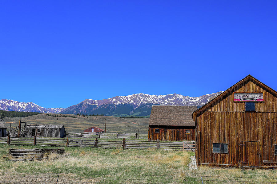 Historic Leadville Homestead Photograph by Dan Sproul