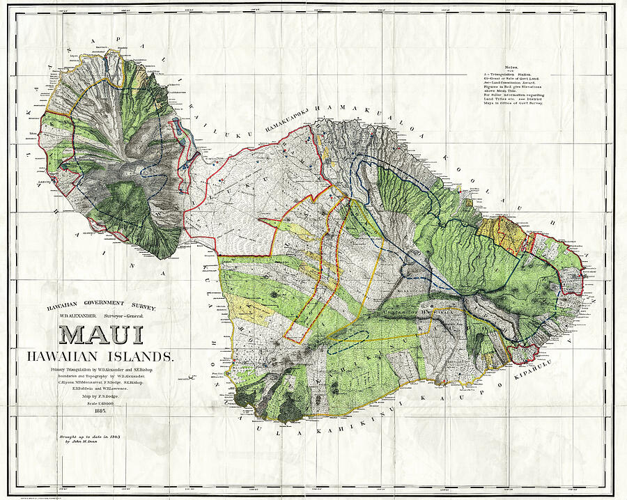 Historic Map Maui Hawaii 1885 Drawing by Carol Japp Historic Map Maui Hawaii 1885 Drawing by Carol Japp