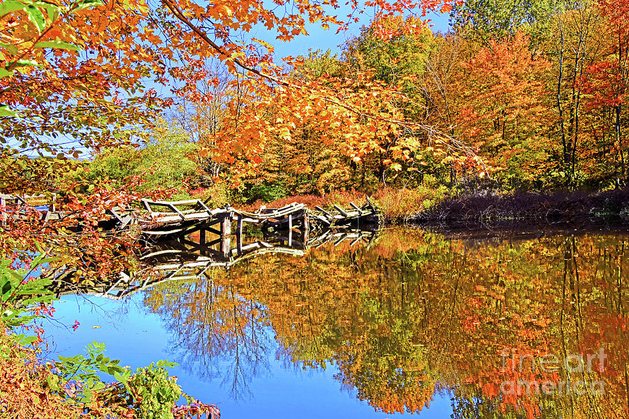 Historic Morris Canal Mule Bridge in Autumn Photograph by Regina ...