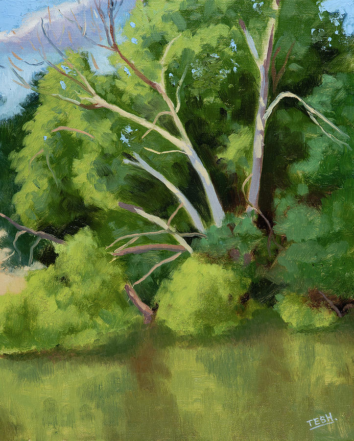 Historic Oak View Pond Painting by Tesh Parekh