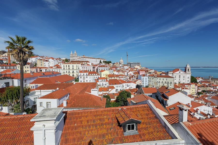 Historic old district Alfama in Lisbon Photograph by Mikhail Kokhanchikov