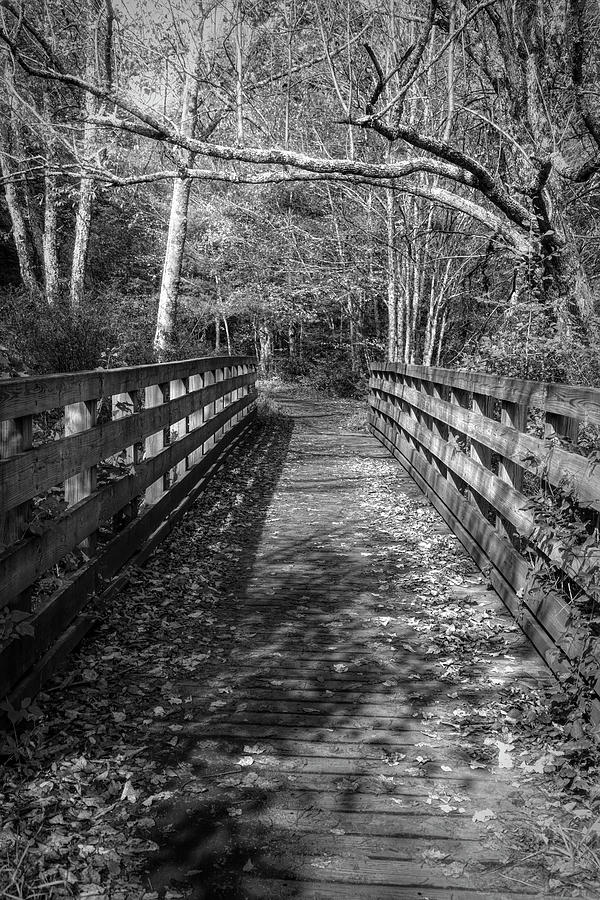 Historic Rail Trail Bridge Creeper Trail Damascus Virginia Black Photograph by Debra and Dave Vanderlaan