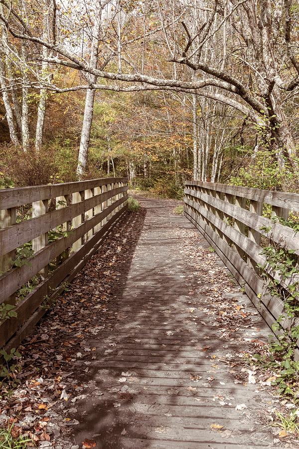 Historic Rail Trail Bridge Creeper Trail Damascus Virginia Soft ...