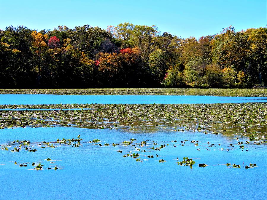 Historic Smithville Lake in Autumn in New Jersey Photograph by Linda Stern