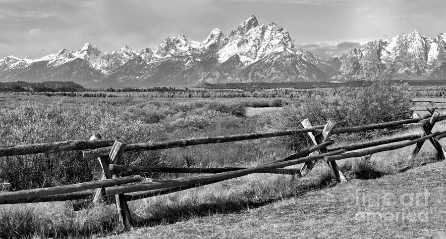 Historic Teton Fence Sunrise Black And White Photograph by Adam Jewell