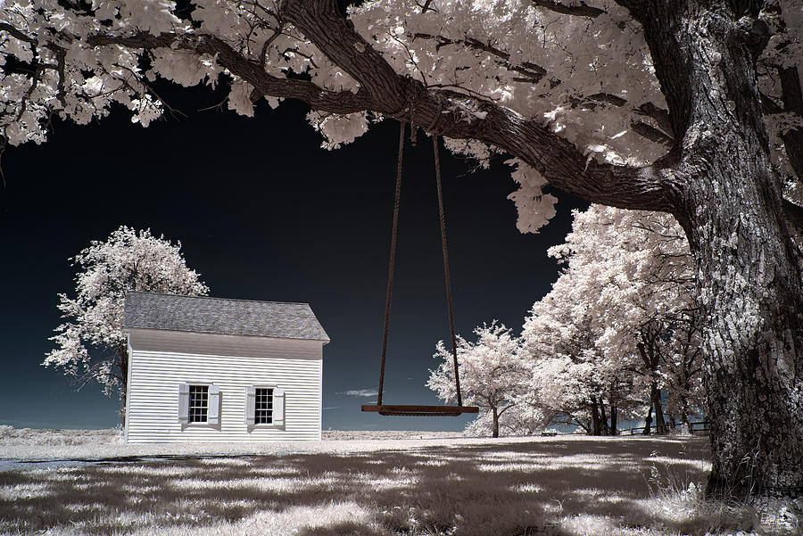Historic Wisconsin Hauge Log Church and tree swing - horizontal version - Daleyville WI Photograph by Peter Herman
