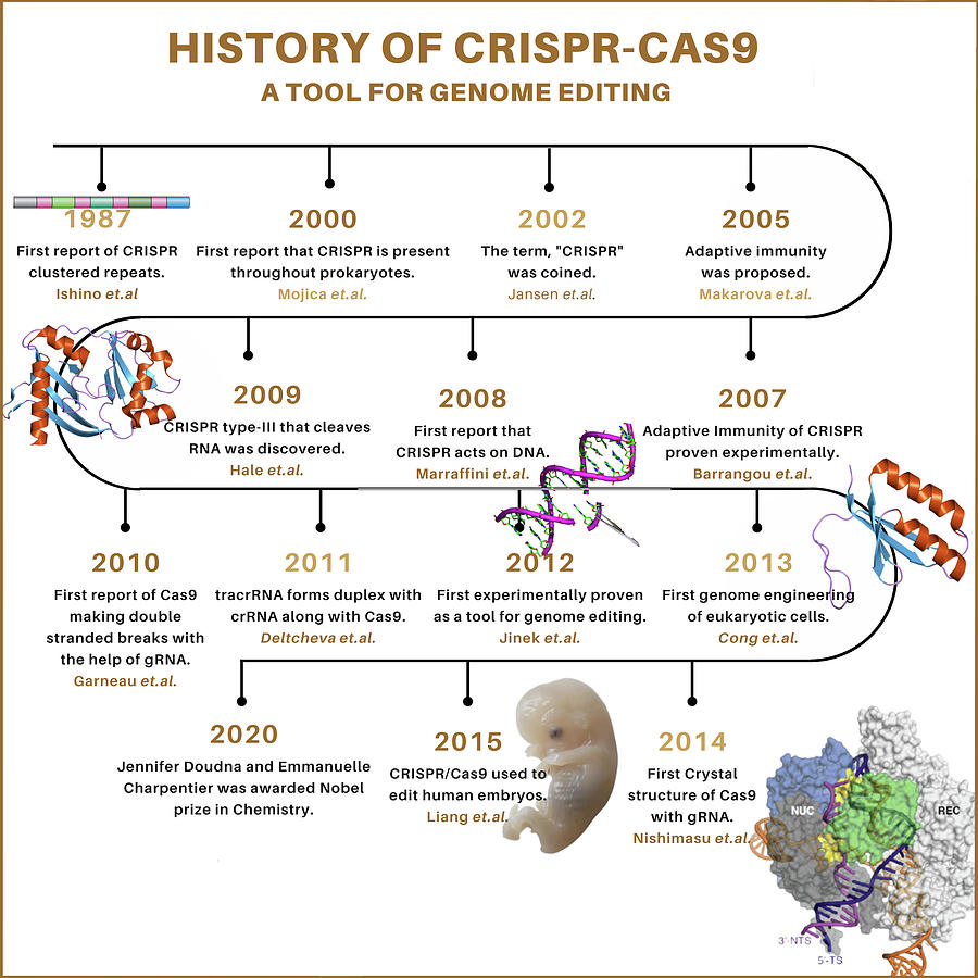 History of CRISPR Cas9 gene editing tool Digital Art by Chanhorngam ...