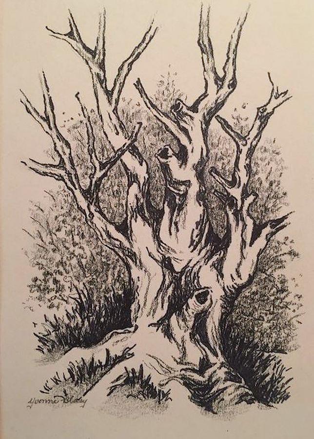 Histree Drawing by Yvonne Blasy