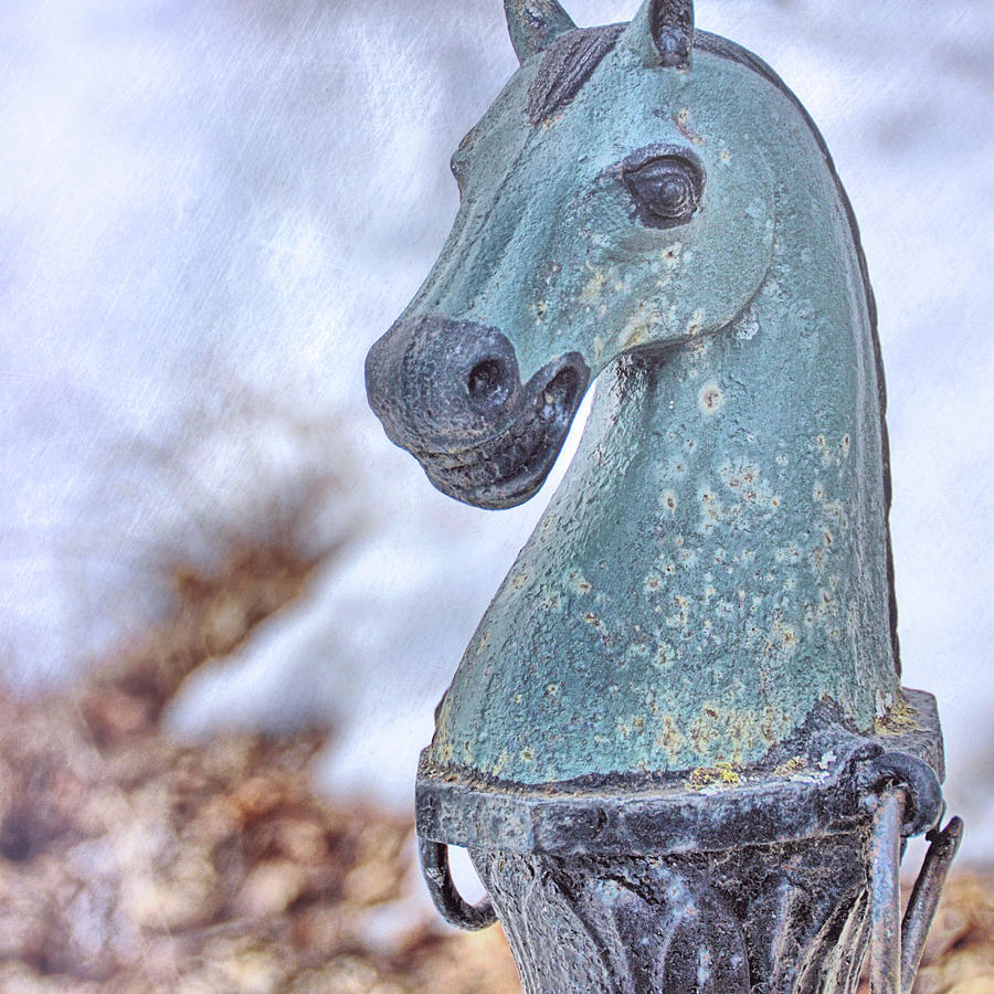 Hitching Post Photograph by Dressage Design