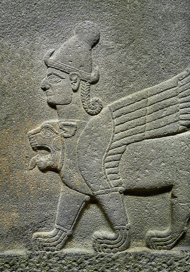 Hittite Relief Of A Winged Lion - Anatolian Civilisations Museum Ankara ...