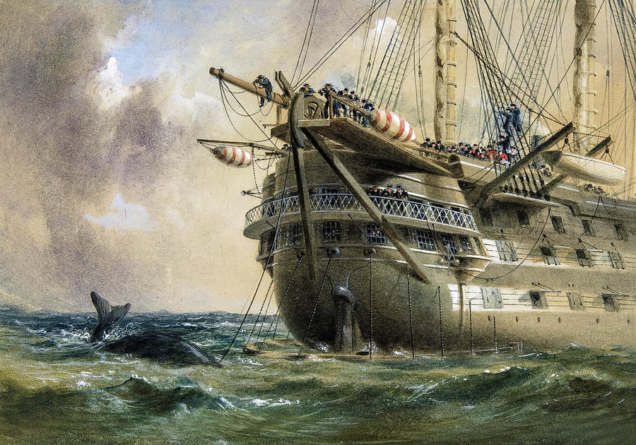 H.M.S. Agamemnon Laying the Atlantic Telegraph Cable in 1858 Painting ...