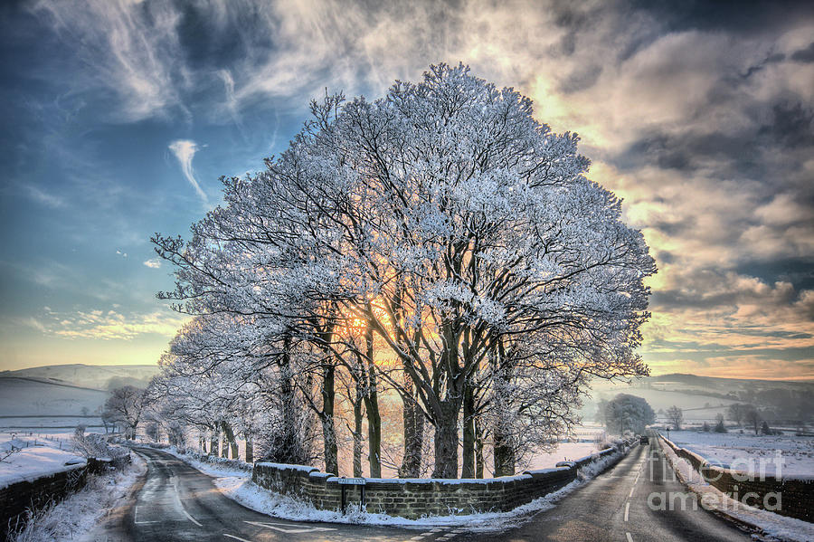 Hoar Frost At Sunset, North Yorkshire by Tom Holmes Photography