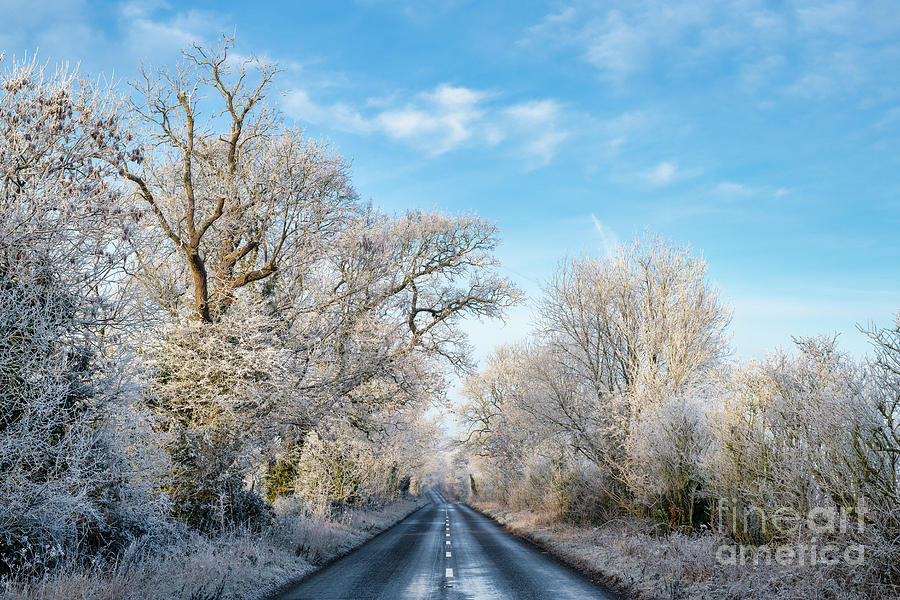 Hoar Frost in the Cotswolds Photograph by Tim Gainey