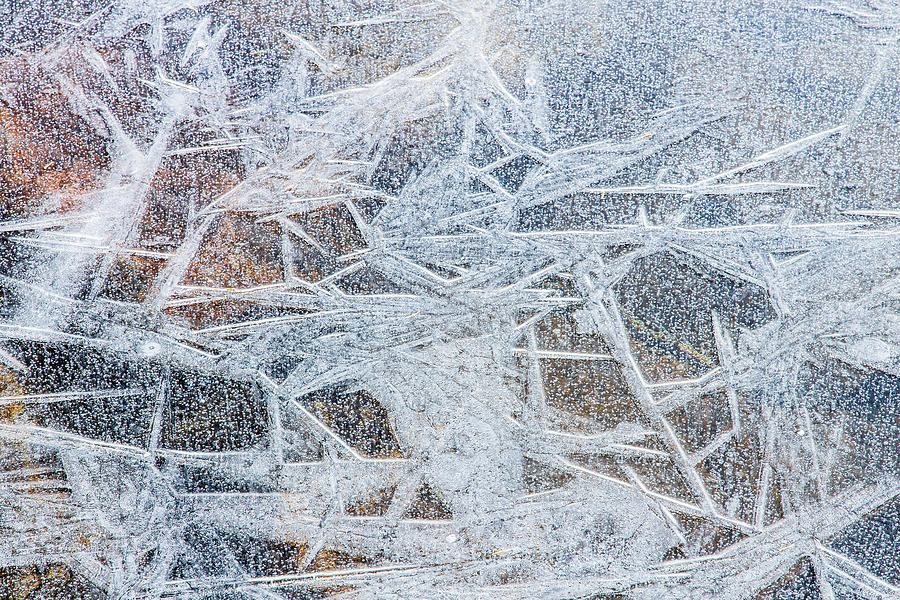 Hoar Frost on Lake Photograph by Stefan Mazzola