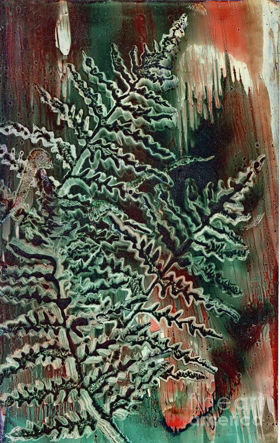 Encaustic Painting - Hoar Frost on Leaves by Wilma Lopez