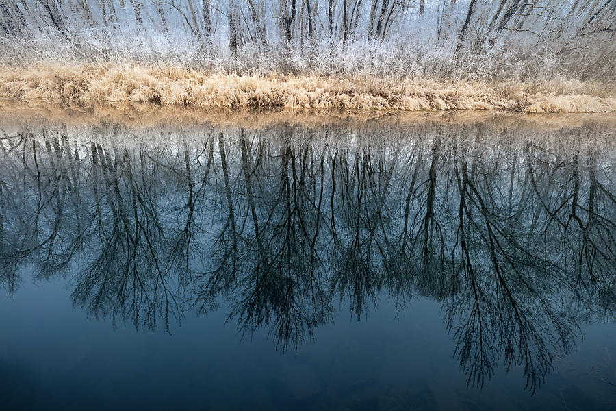 Hoar Frost Reflection Photograph by Lance Christiansen