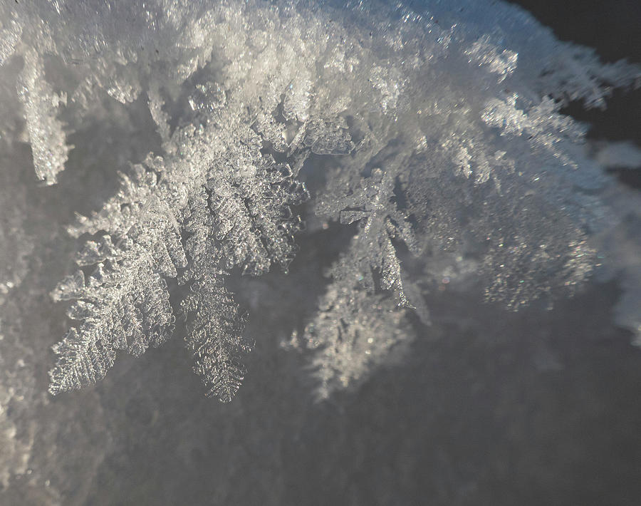 Frost Photograph - Hoarfrost Crystals by Karen Rispin