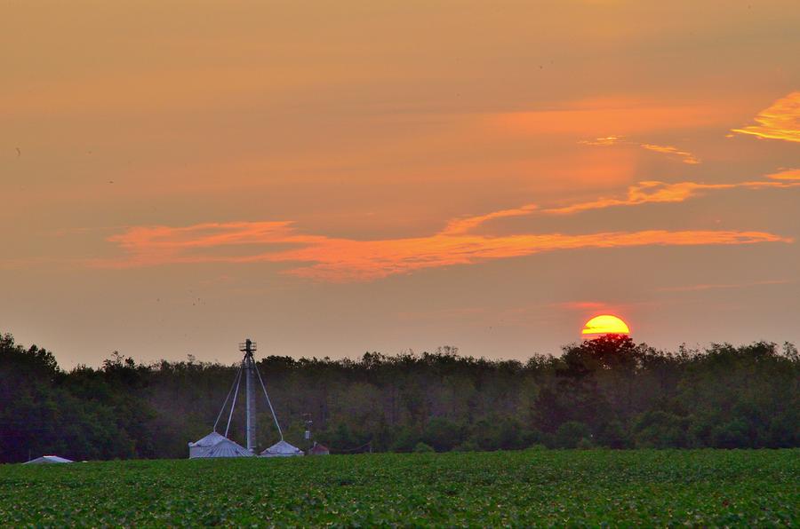 Hobgood Sunrise #1 Photograph by Eric Towell