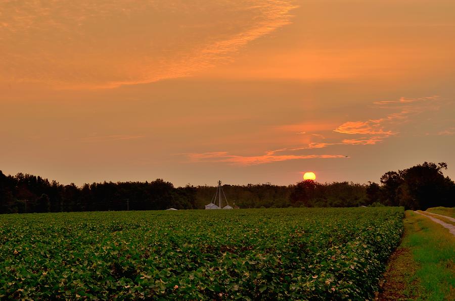 Hobgood Sunrise #2 Photograph by Eric Towell