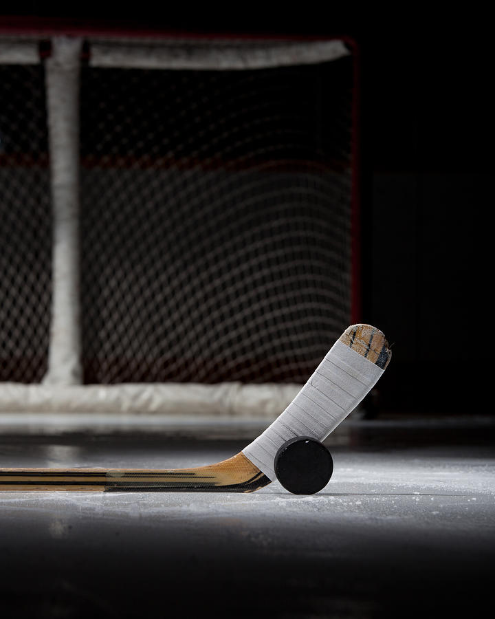 Hockey Puck, Stick, and Net Photograph by NevinGiesbrecht