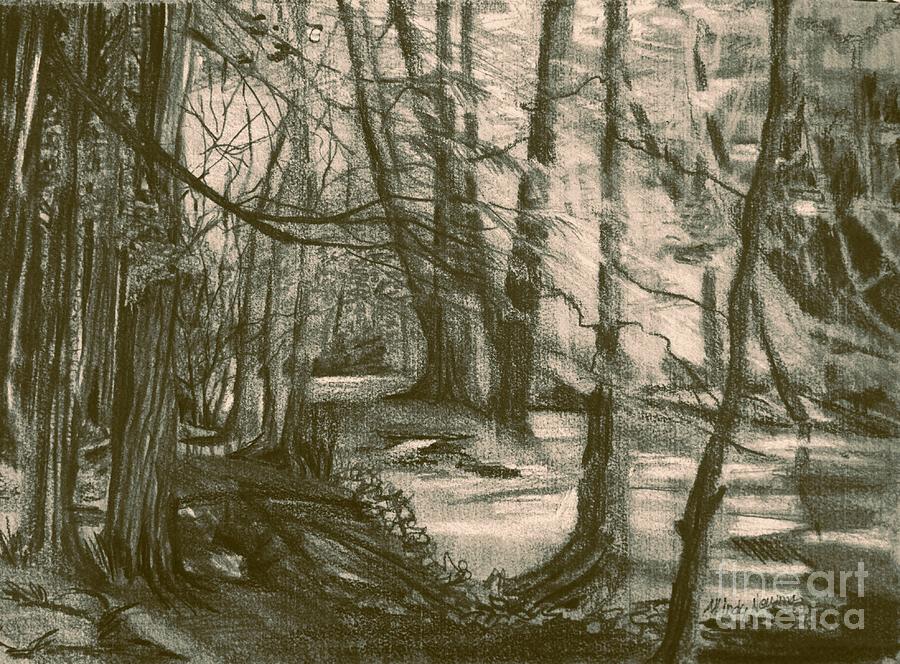 Hocking Hills Ohio Drawing by Mindy Newman - Fine Art America