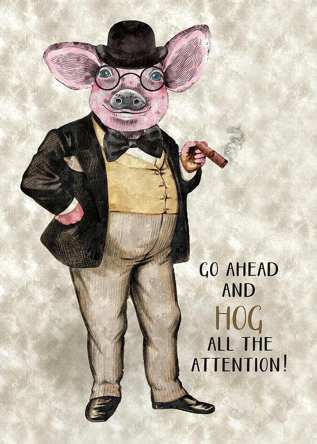Hog All the Attention Congratulations Digital Art by Doreen Erhardt