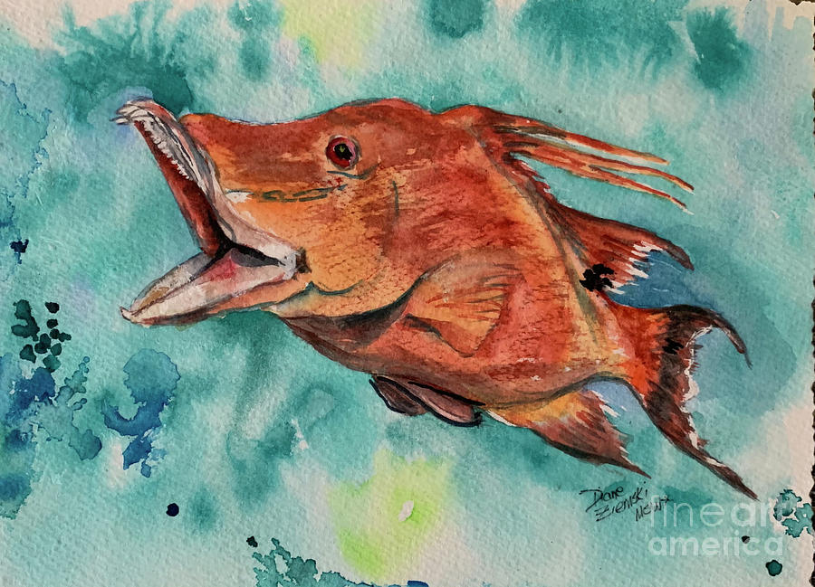 Hog fish Painting by Diane Ziemski