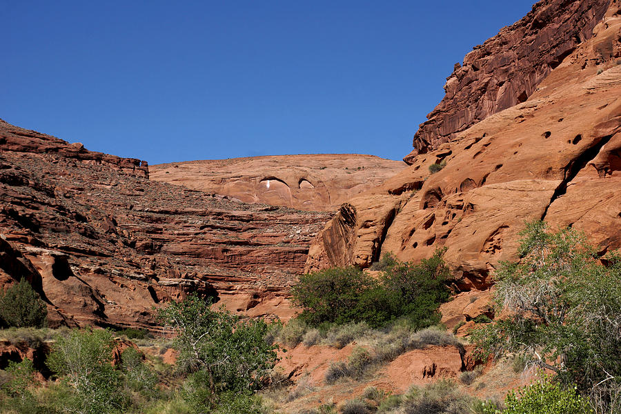 Hog Spring Recreation Area 5 - Utah Photograph by John Trommer - Fine ...