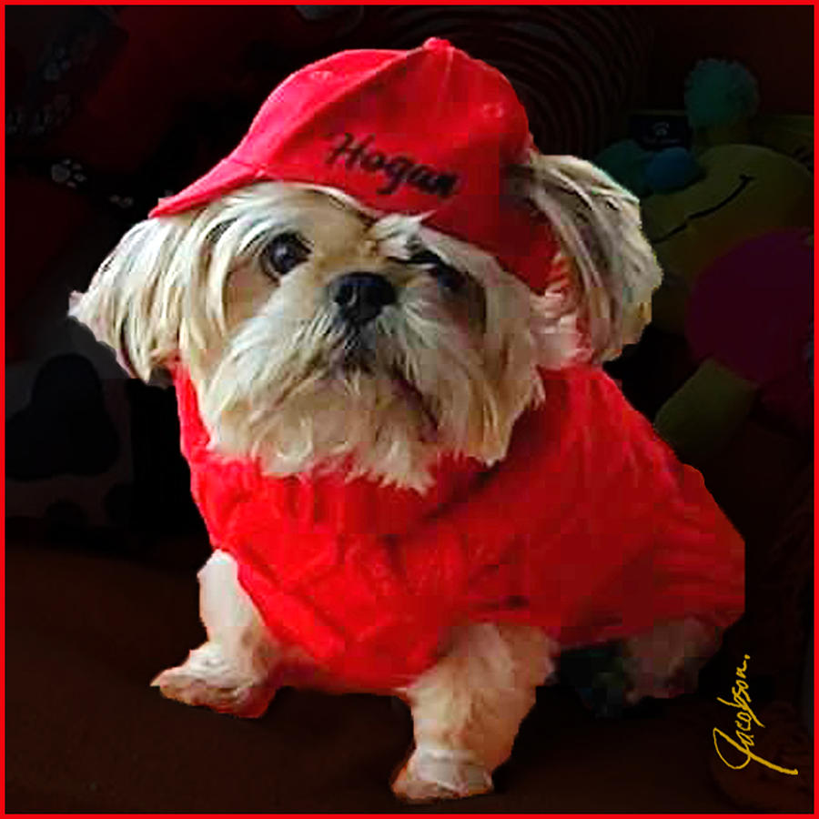 Hogan in Red suit by Jackie Jacobson Hogan in Red suit by Jackie Jacobson