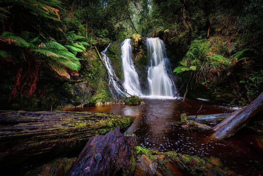 Hogarth Falls Photograph by Jan Fijolek - Fine Art America