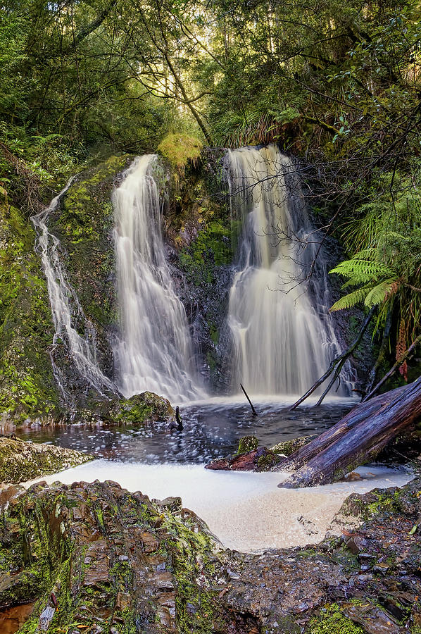 Hogarth Falls - Strahan - Tasmania Photograph by Tony Crehan
