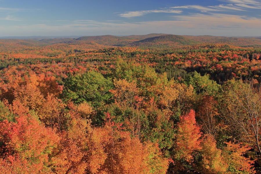 Hogback Mountain Fall Foliage Photograph by John Burk | Fine Art America