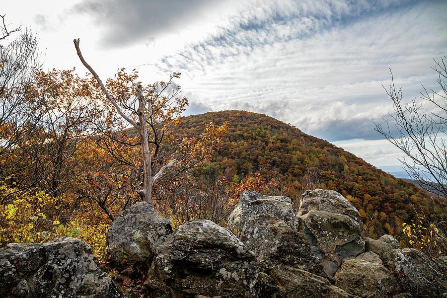 Hogback View in Autumn Photograph by David Beard - Fine Art America