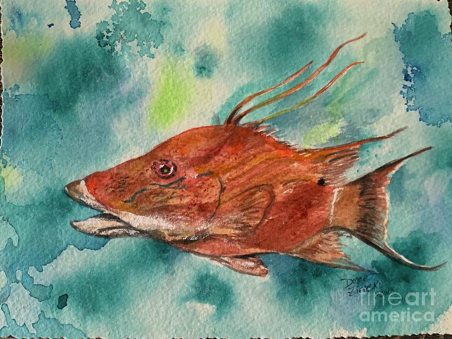 Hogfish 2 Painting by Diane Ziemski