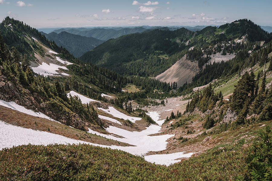 Hoh Valley Photograph by Bella B Photography - Fine Art America