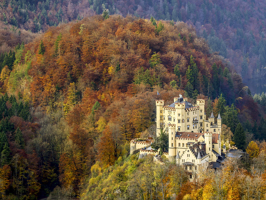 Hohenschwangau Castle Photograph by GoodLifeStudio