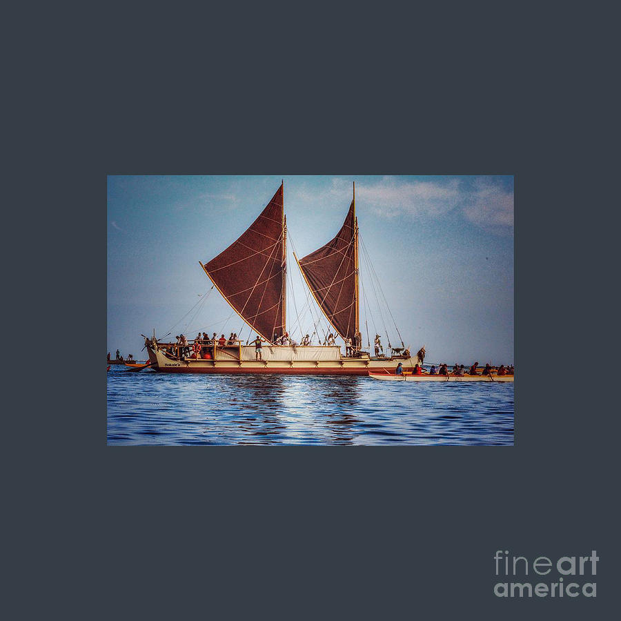 Hokulea Drawing by Sandra J Phillips | Fine Art America