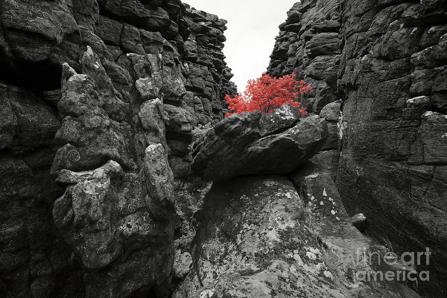 Hold Photograph by Russell Brown Hold Photograph by Russell Brown