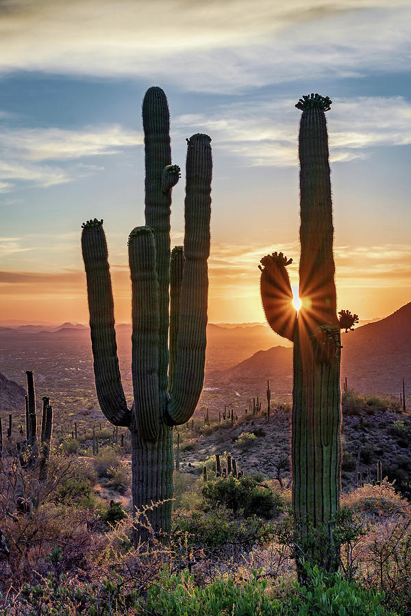 Hold The Light Photograph by Eric Mischke | Fine Art America