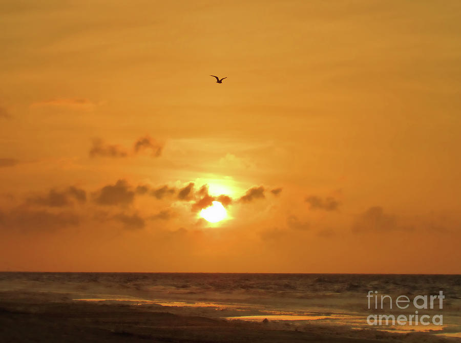 Holden Beach Sunrise Photograph by Roberta Byram