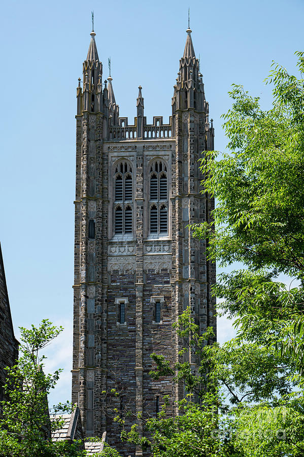 Holder Hall Tower Photograph by Bob Phillips