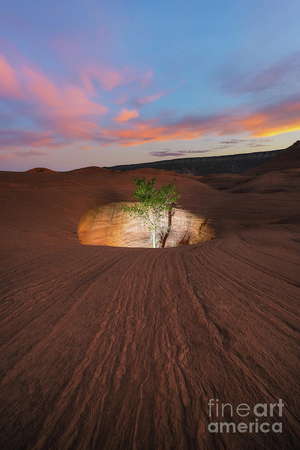 Hole In Rock Sunset  Photograph by Michael Ver Sprill