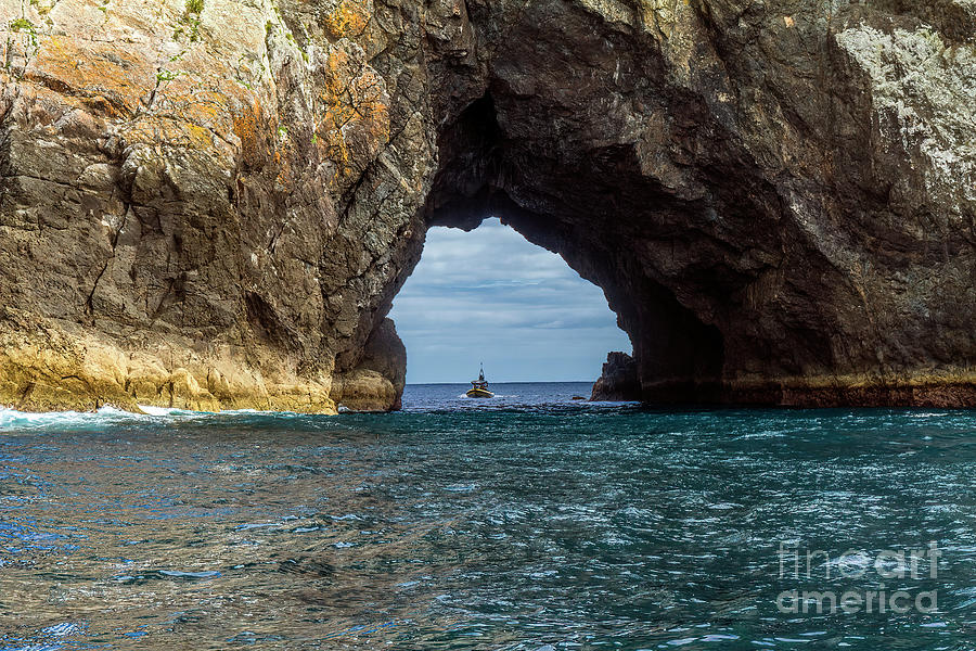Hole in the Rock, Bay of Islands, New Zealand Photograph by Elaine Teague