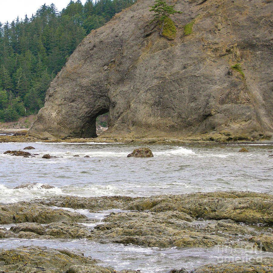 Olympic National Park Photograph - Hole-in-the-Wall on the Olympic Coast by Nancy Gleason