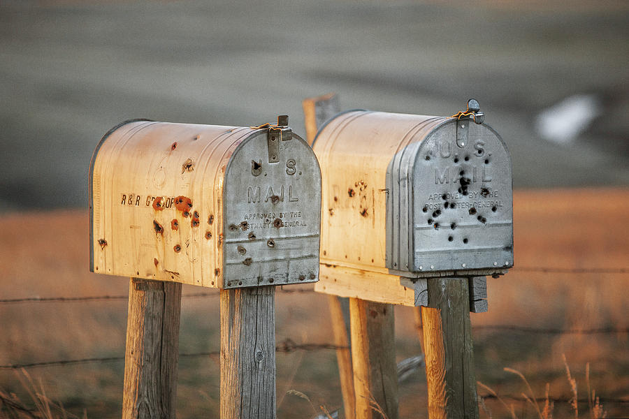 Holey Mailboxes Photograph by Todd Klassy
