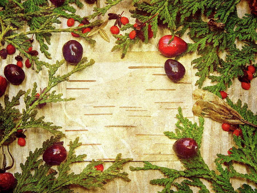 Holiday Card Background. Photograph