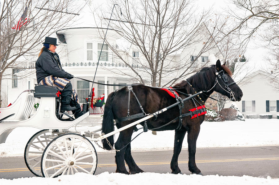 Holiday Carriage Ride Photograph by Jill Love